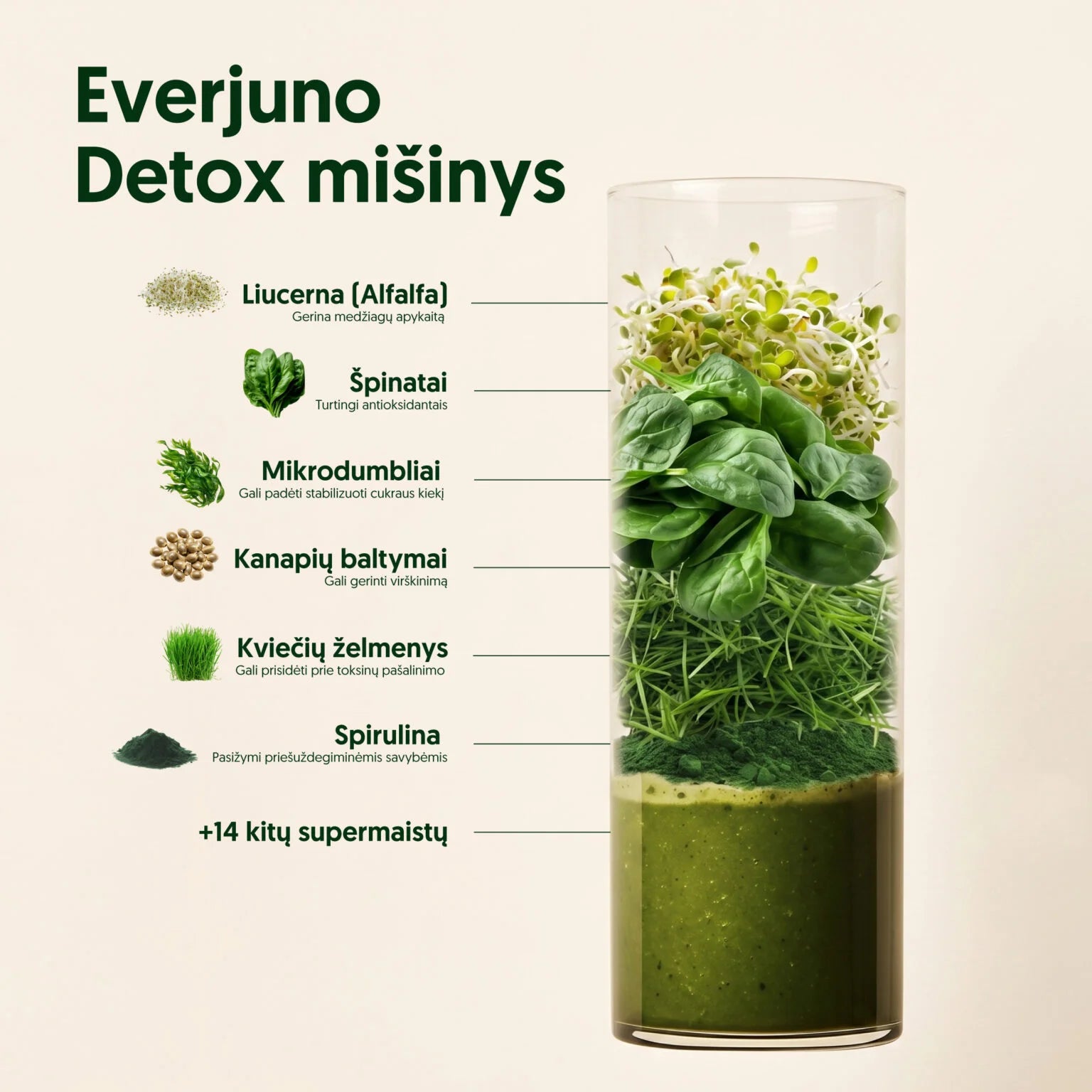 EVERJUNO Green Powder Detox - Ekologiškas žaliasis mišinys