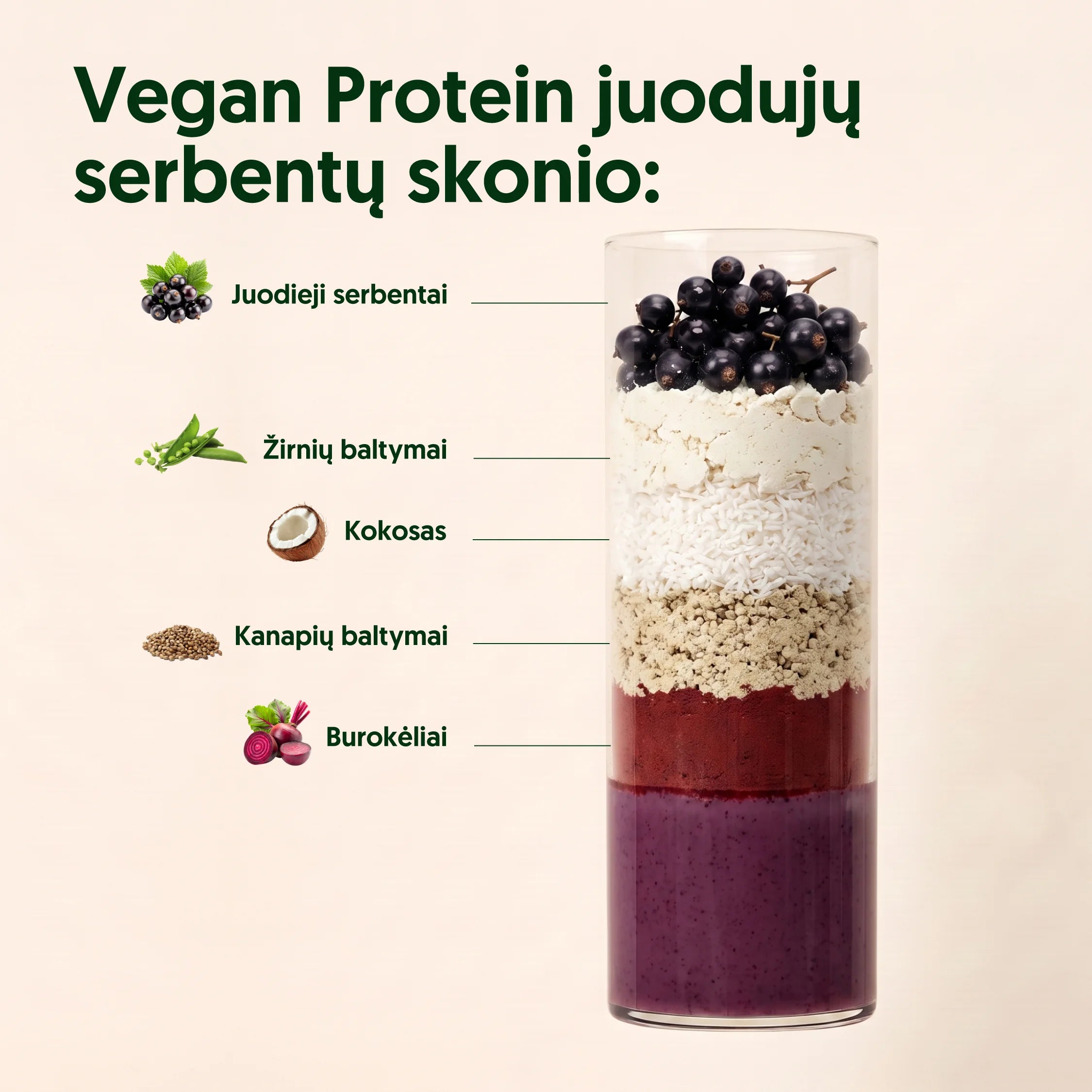 EVERJUNO Vegan Protein Blackcurrant - Ekologiški baltymai