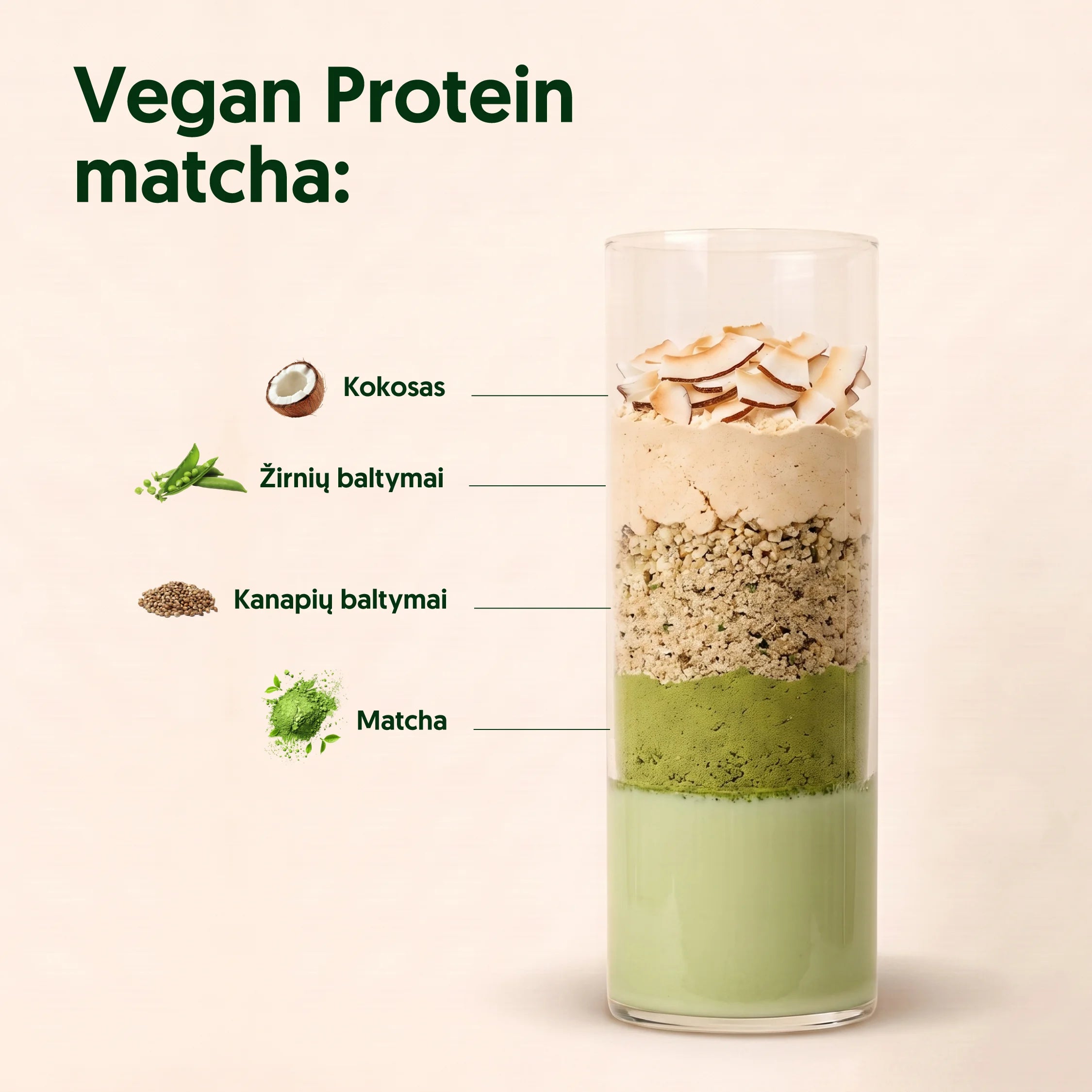 EVERJUNO Vegan Protein Matcha - Baltymai