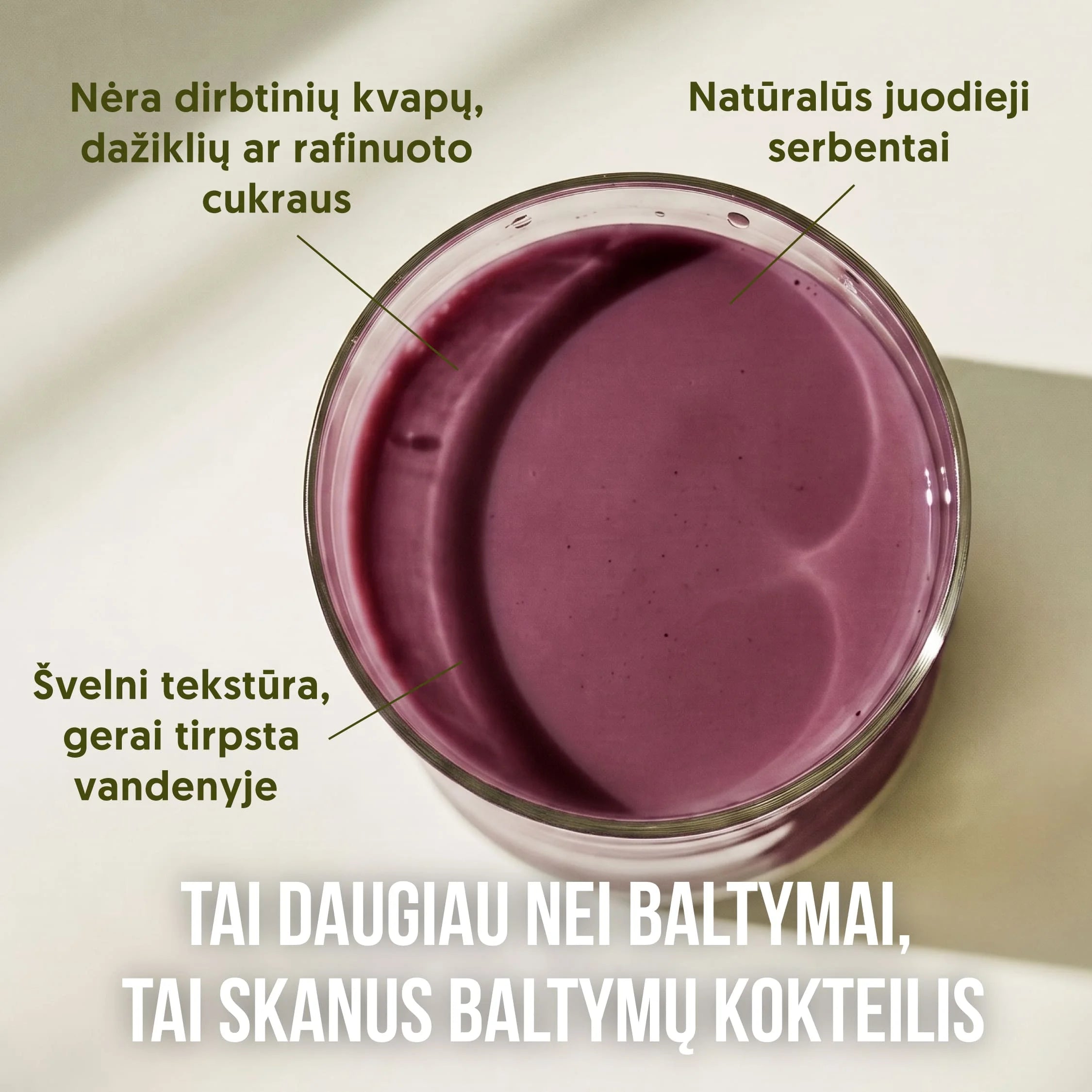 EVERJUNO Vegan Protein Blackcurrant - Ekologiški baltymai