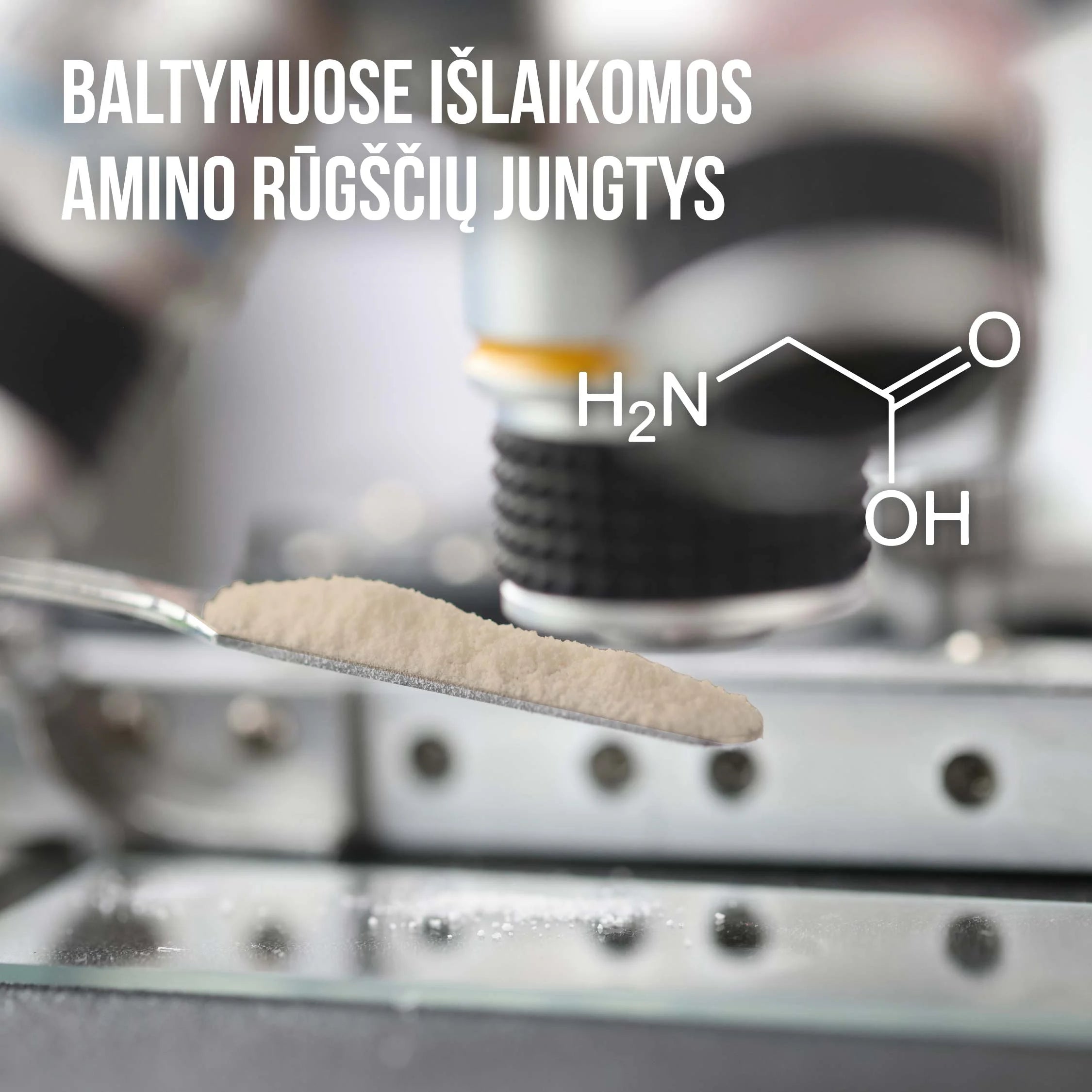 EVERJUNO Vegan Protein - Ekologiški baltymai